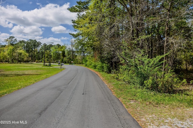 10110 S Olde Towne Wynd Wynd, Belville, NC 28451