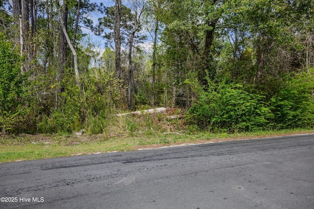 10110 S Olde Towne Wynd Wynd, Belville, NC 28451