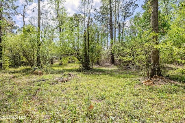 10110 S Olde Towne Wynd Wynd, Belville, NC 28451
