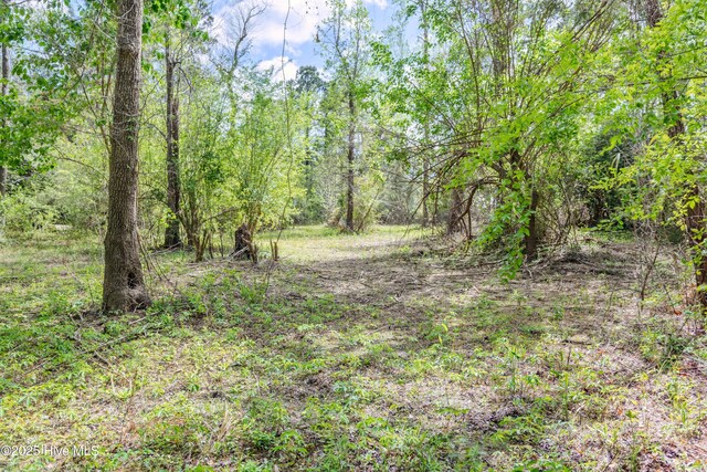 10110 S Olde Towne Wynd Wynd, Belville, NC 28451