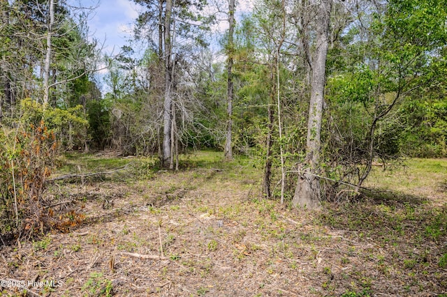 10110 S Olde Towne Wynd Wynd, Belville, NC 28451