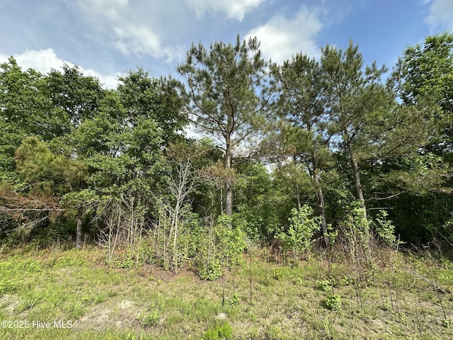 TBD2 Mcgirt Rd, Maxton, NC 28364