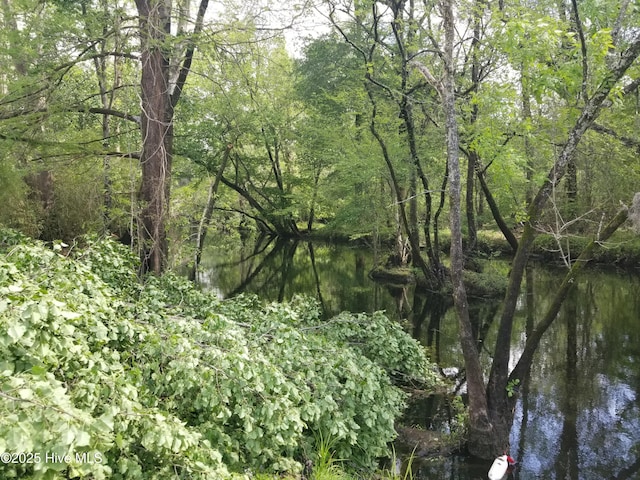 view of local wilderness featuring a view of trees