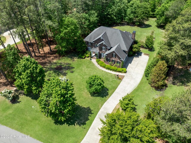 drone / aerial view