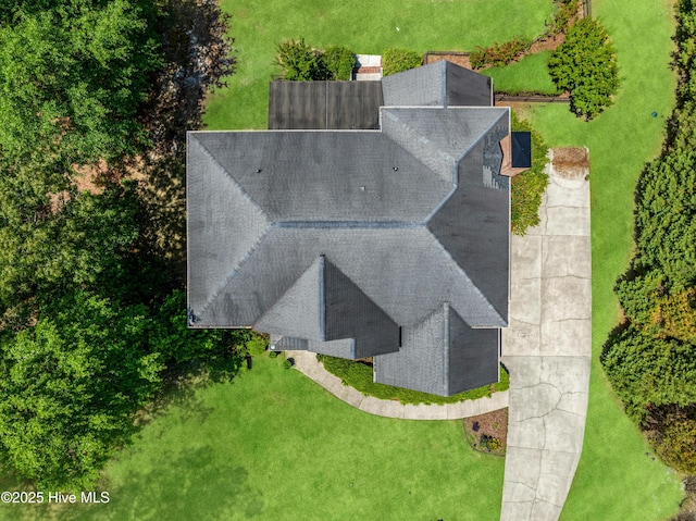 drone / aerial view