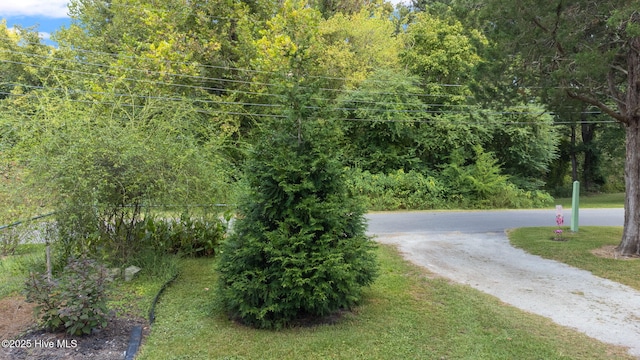 104 W Trent St, Trenton, NC 28585 - view of road