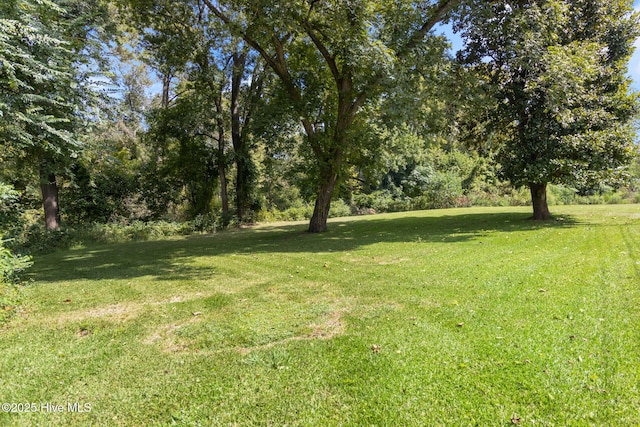104 W Trent St, Trenton, NC 28585 - view of green lawn