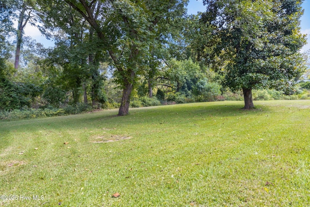 104 W Trent St, Trenton, NC 28585 - view of grassy yard