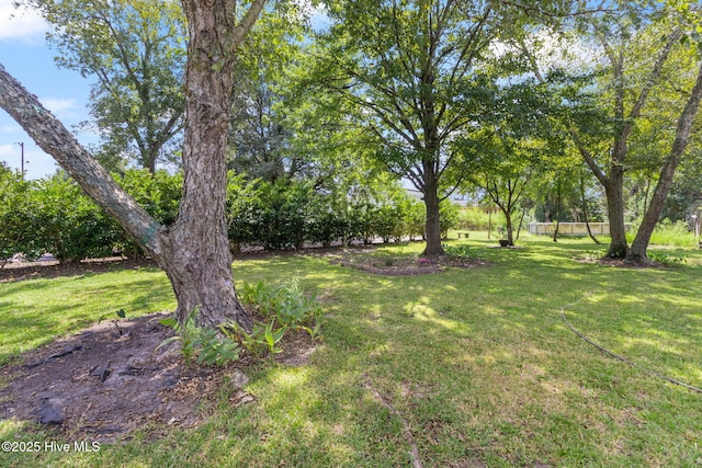 104 W Trent St, Trenton, NC 28585 - view of grassy yard
