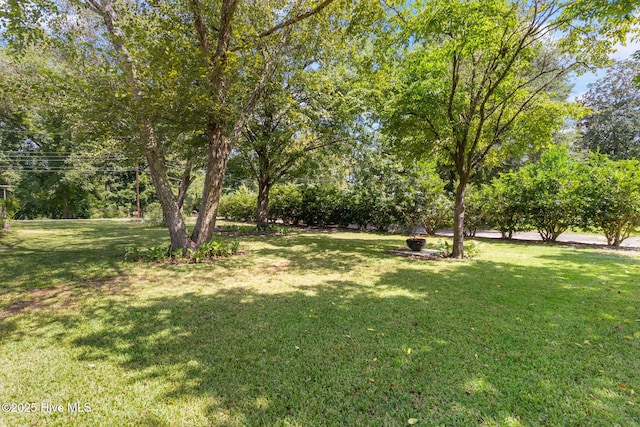 104 W Trent St, Trenton, NC 28585 - view of green lawn with view of scattered trees