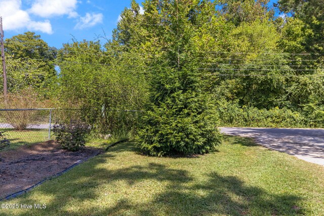 104 W Trent St, Trenton, NC 28585 - view of yard
