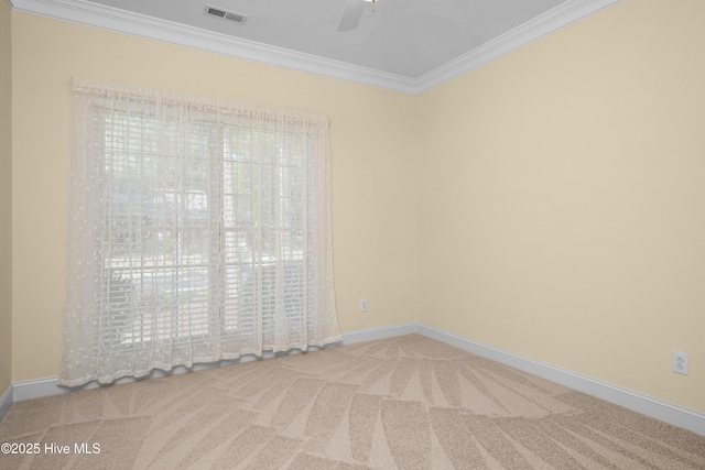 106 Oakmont Cir, New Bern, NC 28562 - spare room with crown molding, a ceiling fan, and carpet floors