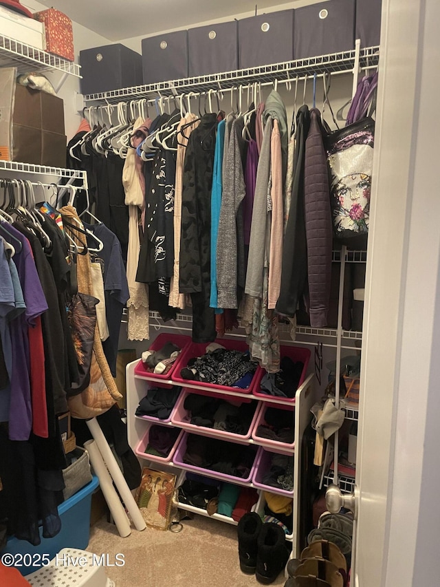 spacious closet featuring carpet