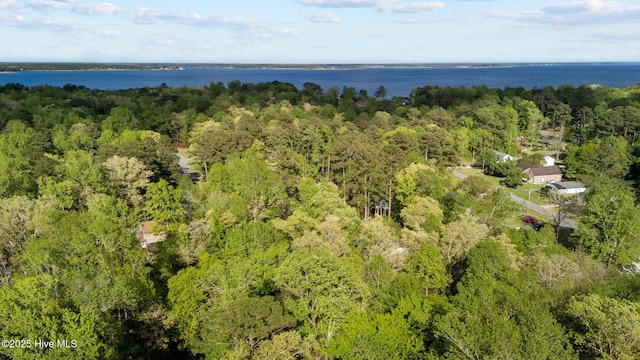 307 Little Rossie Rd, New Bern, NC 28560 - birds eye view of property with a water view and a forest view