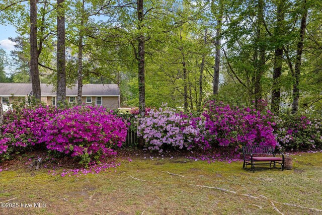 307 Little Rossie Rd, New Bern, NC 28560 - view of yard