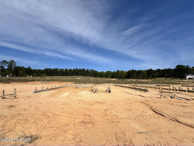 512 Grassy Gap Trl Unit 69, Aberdeen, NC 28315 - view of yard