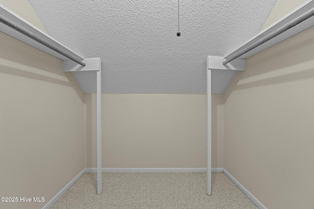 spacious closet featuring carpet