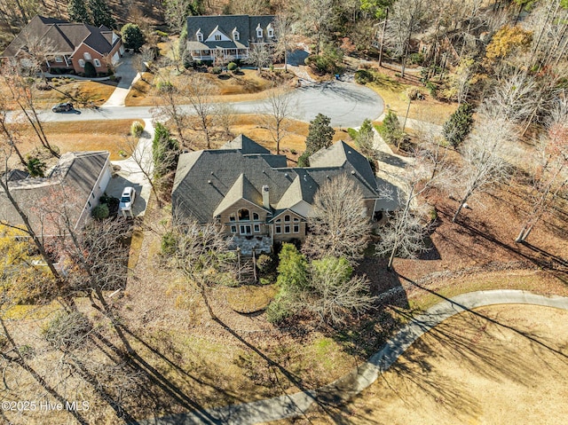 bird's eye view