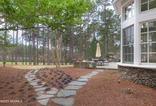 view of yard with a patio area