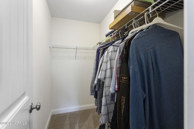 walk in closet with carpet floors