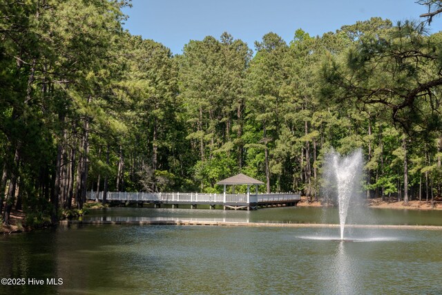 9298 W Lake Rd, Calabash, NC 28467 - view of water feature featuring a view of trees