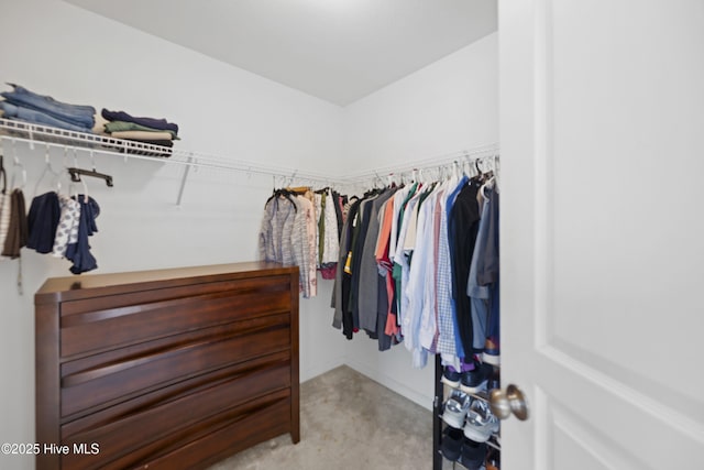 view of spacious closet