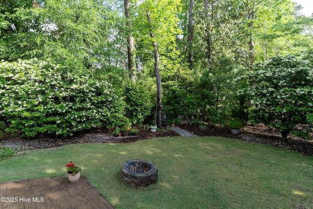 8819 Sawmill Creek Ln, Wilmington, NC 28411 - view of green lawn with a fire pit