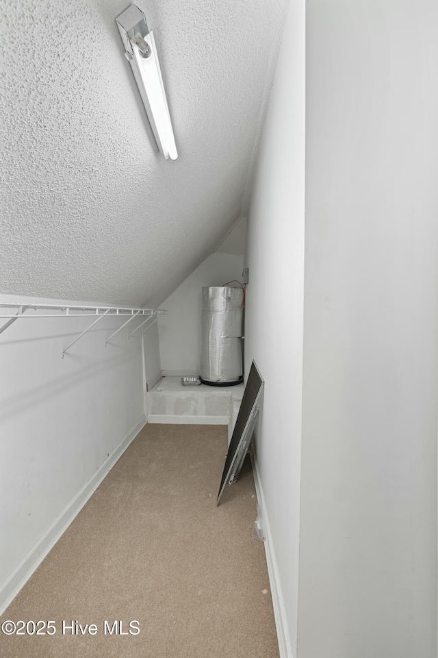 spacious closet featuring light carpet and lofted ceiling