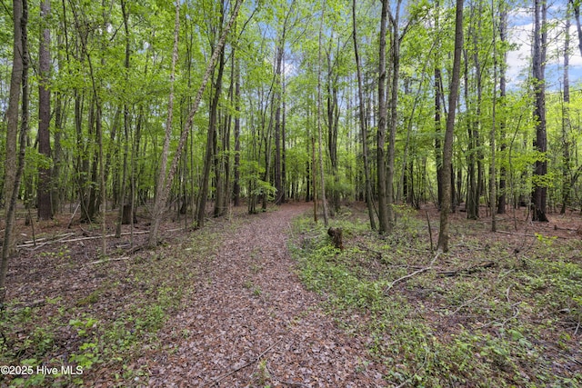view of nature featuring a forest view