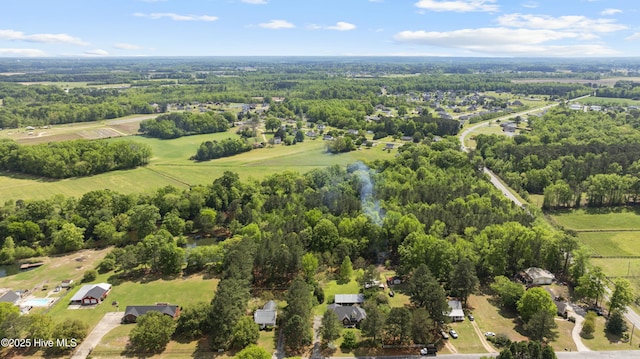 drone / aerial view