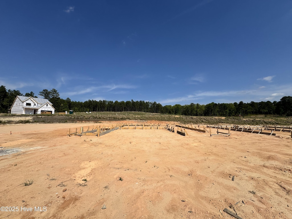 view of yard with a rural view