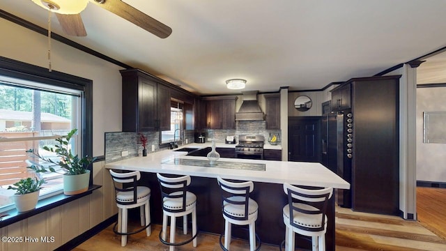 724 York St, Rocky Mount, NC 27803 - kitchen with a ceiling fan, stainless steel gas range oven, tasteful backsplash, light countertops, and custom range hood