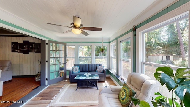 724 York St, Rocky Mount, NC 27803 - sunroom featuring wooden walls, plenty of natural light, and wood finished floors