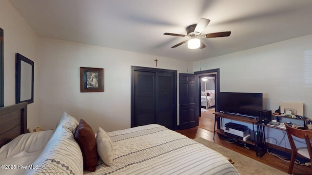 724 York St, Rocky Mount, NC 27803 - bedroom with a ceiling fan, dark wood finished floors, and a closet