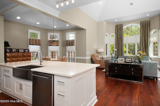 kitchen with dark wood finished floors, stainless steel dishwasher, open floor plan, and a sink