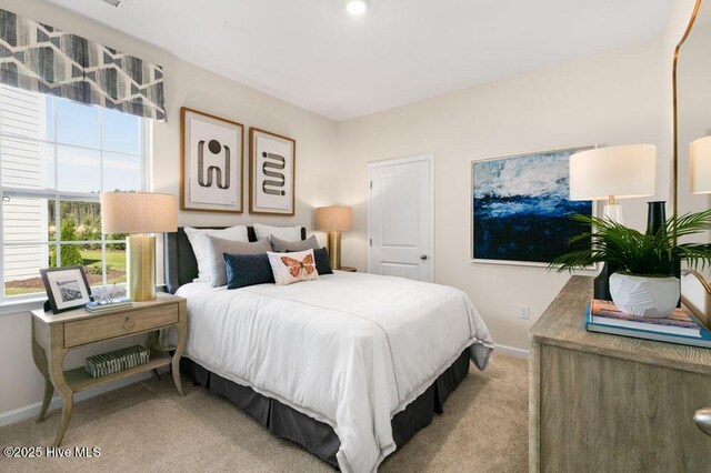 3048 Platinum Cir W, End, NC 27376 - carpeted bedroom with baseboards and multiple windows