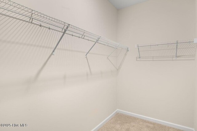 3048 Platinum Cir W, End, NC 27376 - spacious closet with carpet flooring