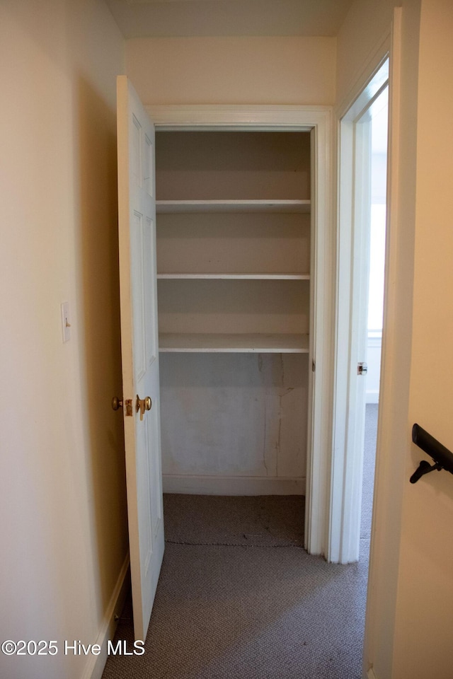 view of closet