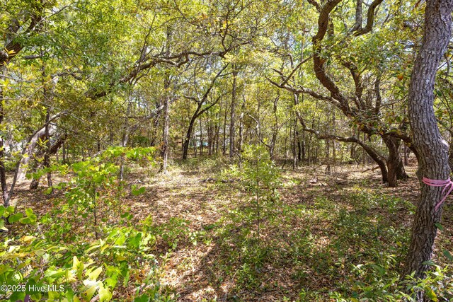 51 NE 1st St, Oak Island, NC 28465