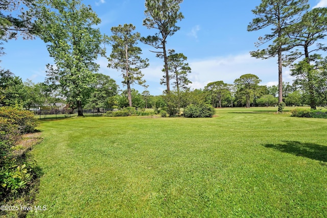 view of yard