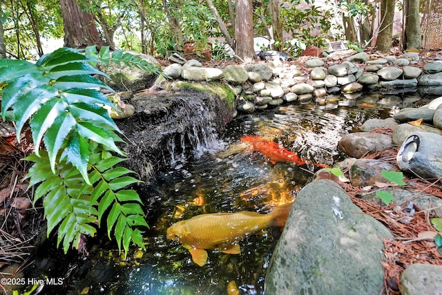 details featuring a garden pond