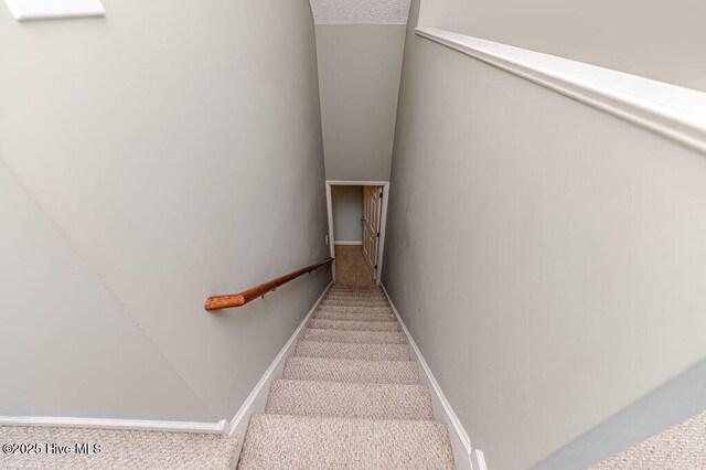 staircase with carpet floors