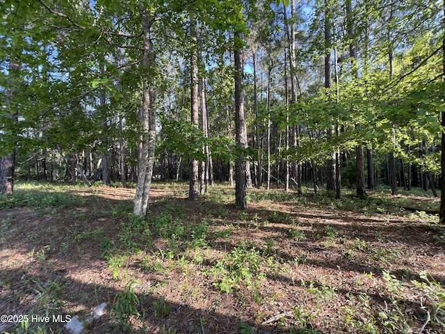 543 Wales Notch SW Unit 7, Ocean Isle Beach, NC 28469