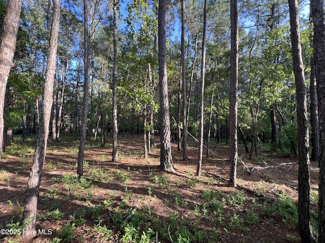 543 Wales Notch SW Unit 7, Ocean Isle Beach, NC 28469