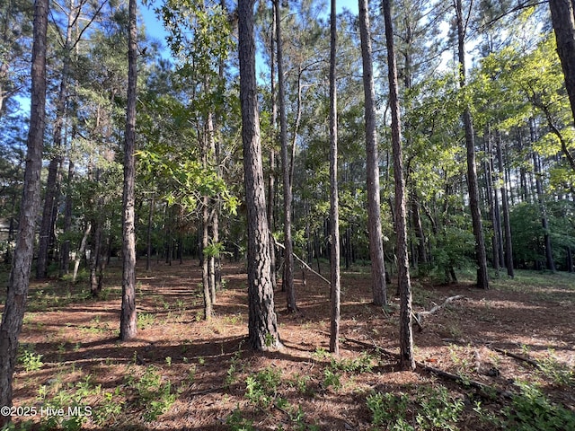 543 Wales Notch SW Unit 7, Ocean Isle Beach, NC 28469