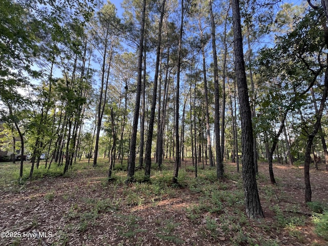 543 Wales Notch SW Unit 7, Ocean Isle Beach, NC 28469
