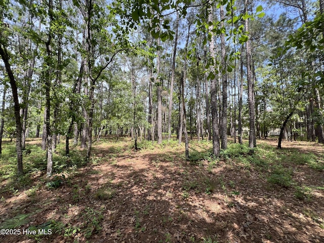 543 Wales Notch SW Unit 7, Ocean Isle Beach, NC 28469