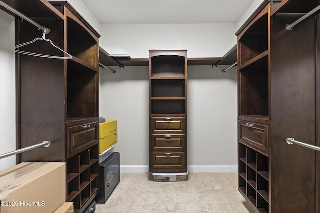 spacious closet featuring light carpet