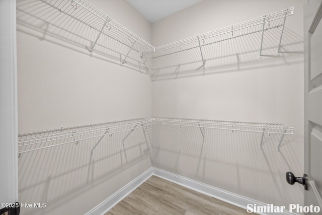 walk in closet with wood finished floors