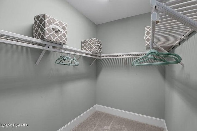 spacious closet featuring carpet floors